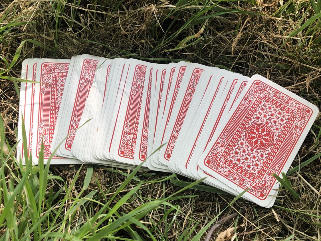 The cards laid out in the grass in front of you, as you sit at the tree and decide...