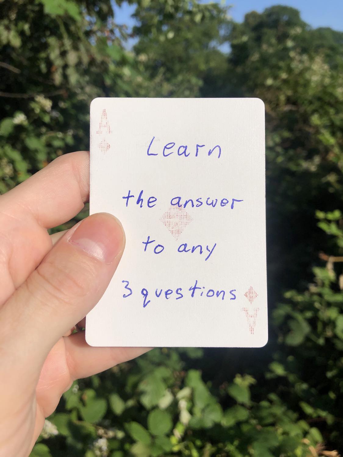The ace of diamonds, held with the trees and foliage behind. Learn the answer to any 3 questions.