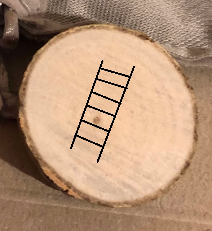 The coin, sitting in your hand, showing a Ladder.