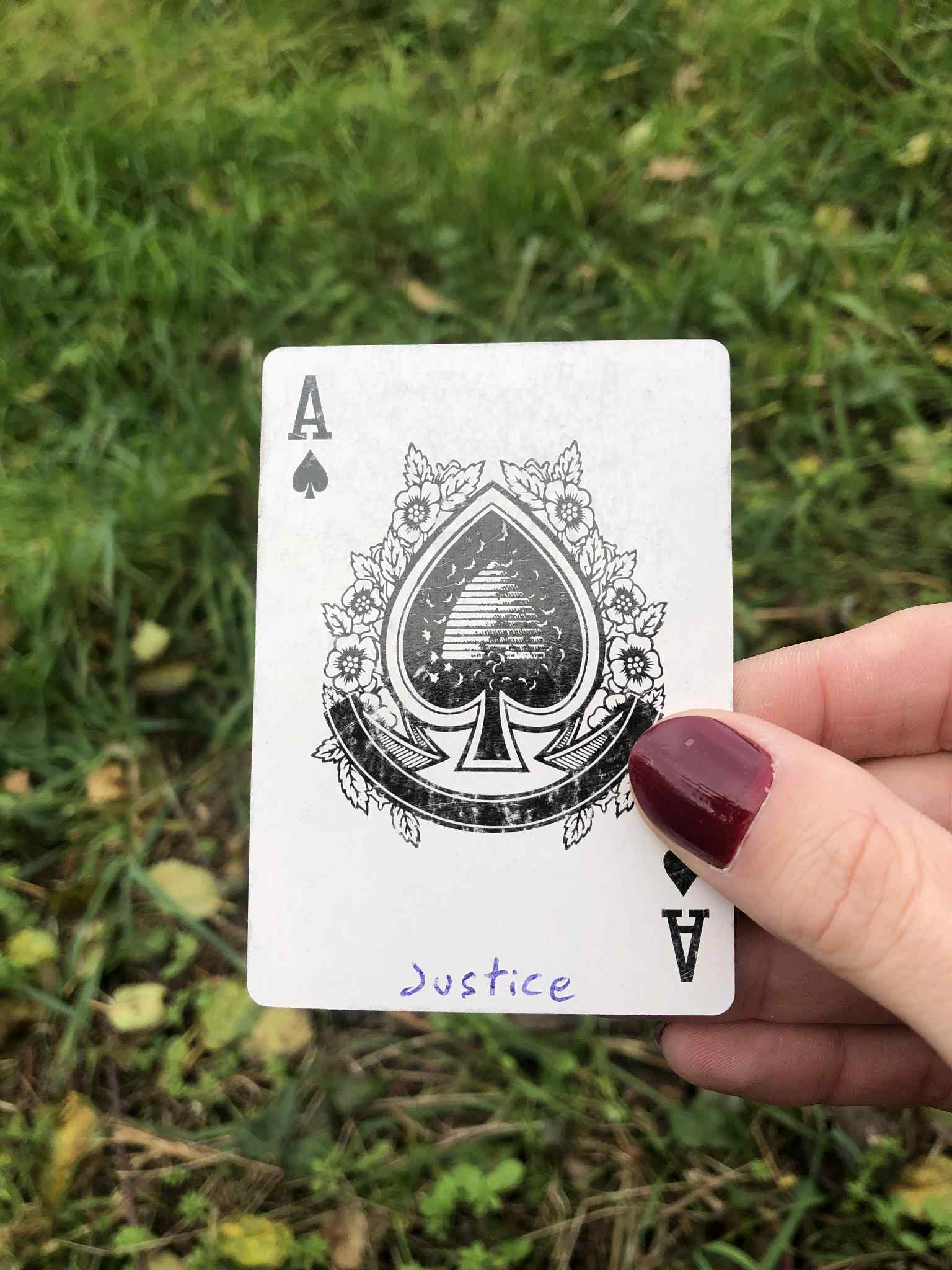 Crouched in the grass, you hold the drawn card before you.