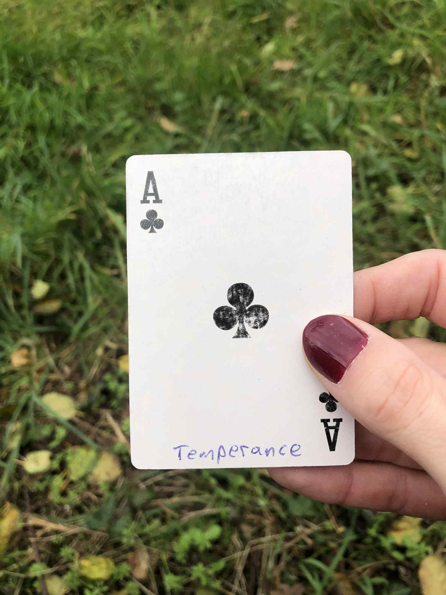 Crouched in the grass, you hold the drawn card before you.