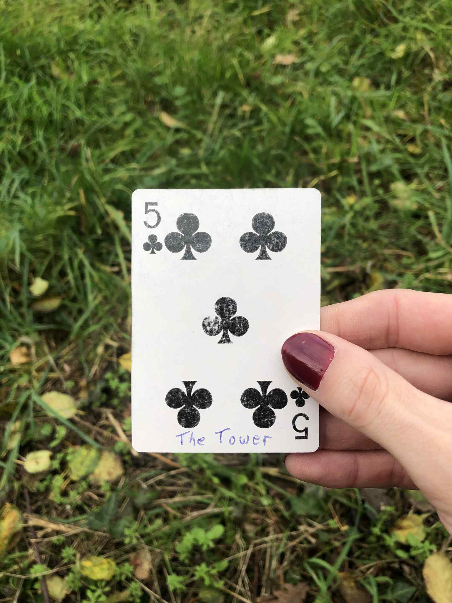 Crouched in the grass, you hold the drawn card before you.