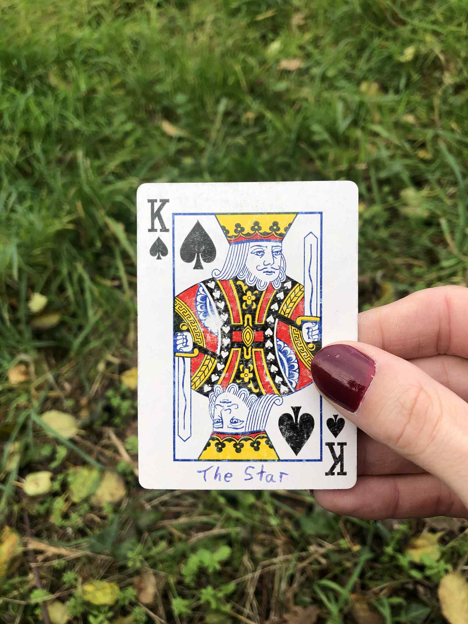 Crouched in the grass, you hold the drawn card before you.