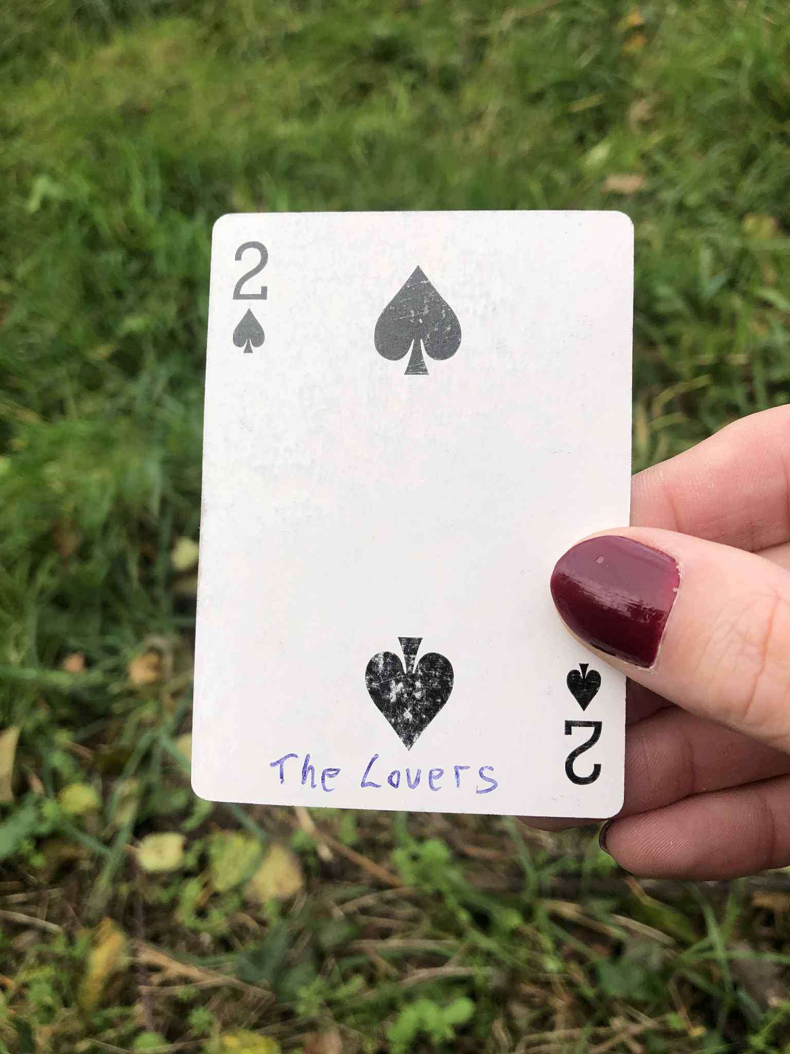 Crouched in the grass, you hold the drawn card before you.