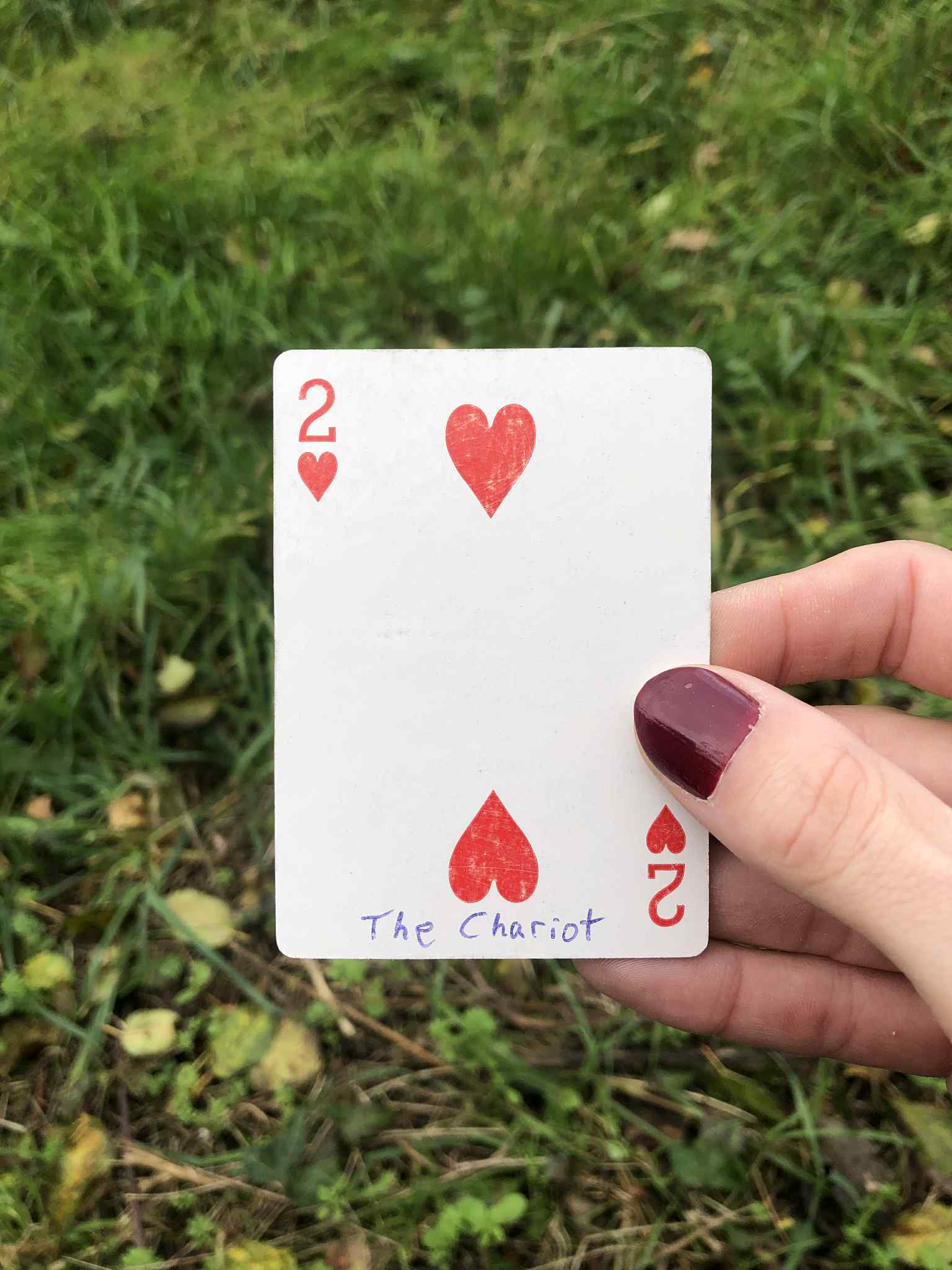Crouched in the grass, you hold the drawn card before you.