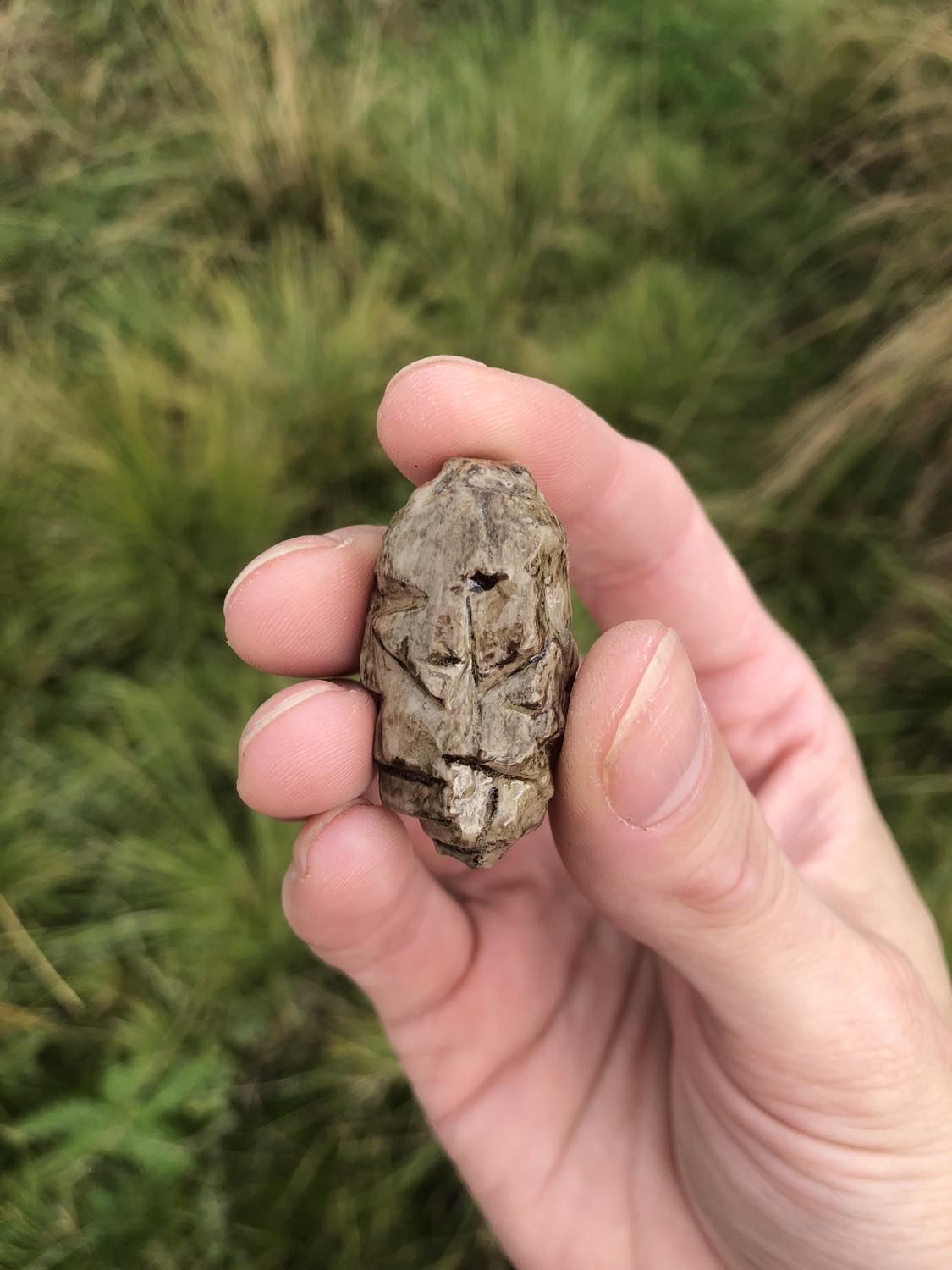 A jagged broken piece of a greyish tarrasque tooth